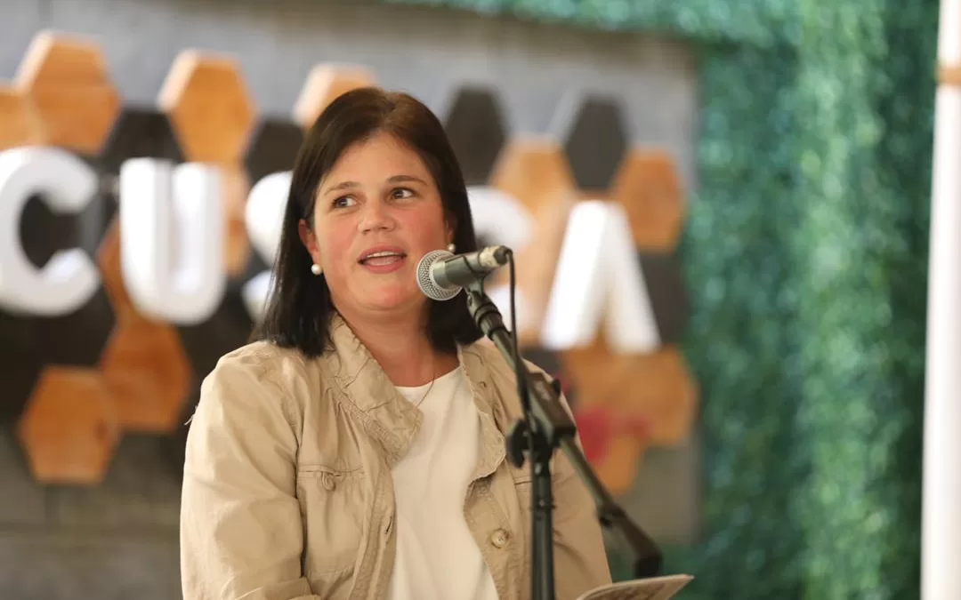 Tres ideas sobre la simulación electoral – Paola Bautista de Alemán