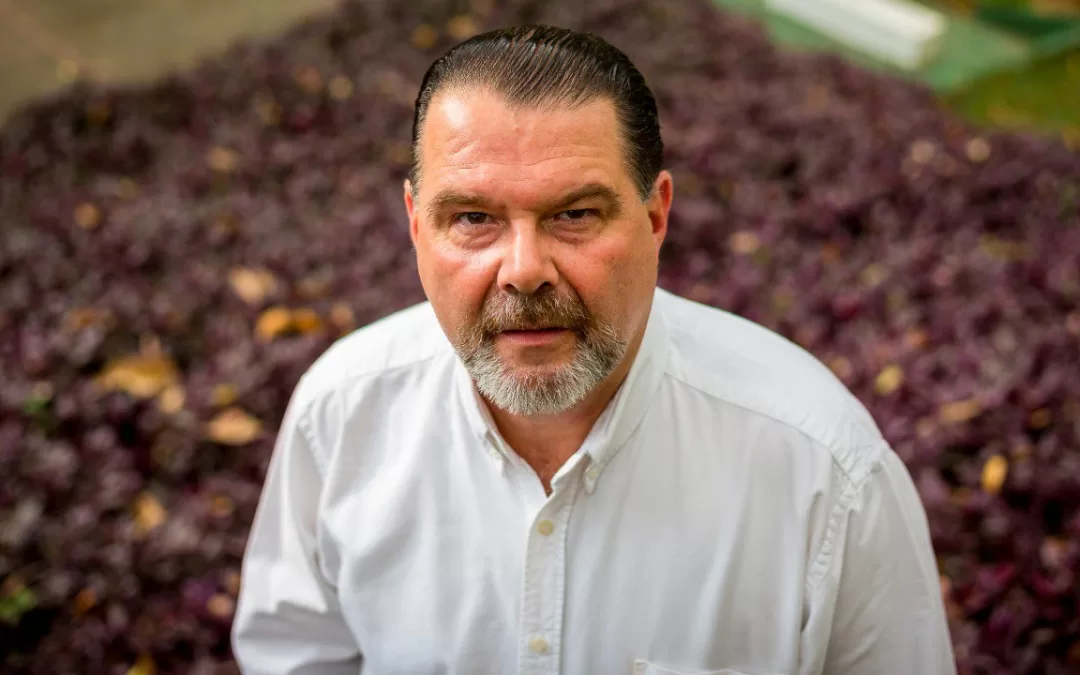 Una institucionalidad no tan chimba – Edgardo Mondolfi